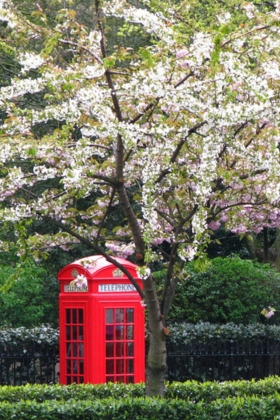 Springtime